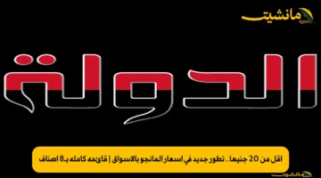 أقل من 20 جنيها.. تطور جديد في أسعار المانجو بالأسواق قائمة كاملة بـ8 أصناف 1